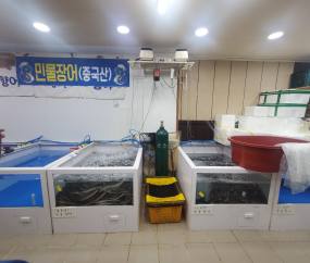 중국산 민물장어, 국내산으로 '둔갑'…수산업체 대표 '덜미'