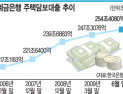 [금융위기 시리즈―부동산] 다시 살아난 대박의 환상
