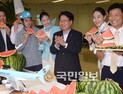 대한항공 임직원 수박 먹고 더위 잊어요