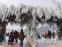 은빛나라 인제 빙어축제장