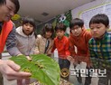 경칩 알리는 무당개구리