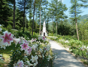 아침고요수목원 ‘비밀이 화원을 찾아라 이벤트’ 실시