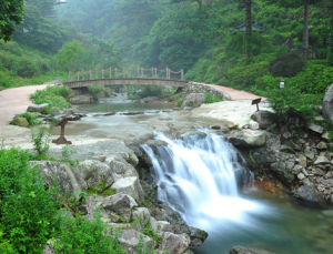아침고요수목원, ‘여름아 놀자, 여름 休’ 이벤트 실시