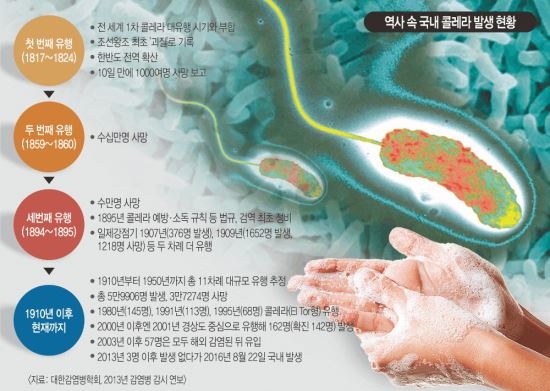 보건당국 콜레라 원인 해수·해산물 오염 가능성