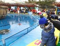 서울랜드, 특별 이벤트 지역 '스노우 아이스존' 오픈
