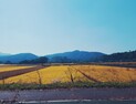 [오늘날씨] 전국 구름 많고 ‘선선’…체감온도 낮아