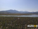 [르포]“재두루미 200마리가 앉을 곳이 없어 돌아갔어요”