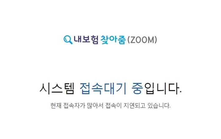 또 다시 먹통…내보험찾아줌 접속자 폭주