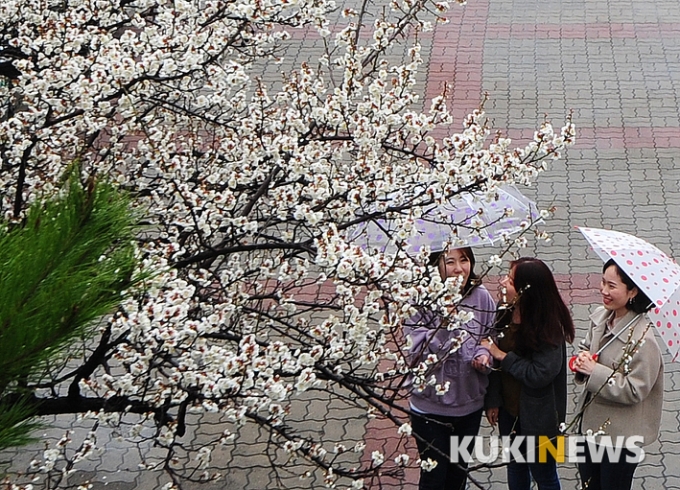 [오늘 날씨] 전국서 봄비 ‘우산 챙기세요’