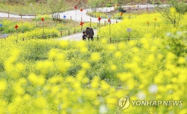 [오늘 날씨] 봄기운 가득…전국 맑고 포근