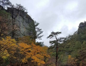 올 단풍 예년보다 늦어… 설악산 지난해보다 닷새 늦은 9월 27일