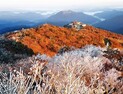 덕유산 국립공원에 첫 상고대 관측