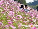 [청년쿸]안양시, 신혼부부 주택매입·전세자금 최대 100만원 지원