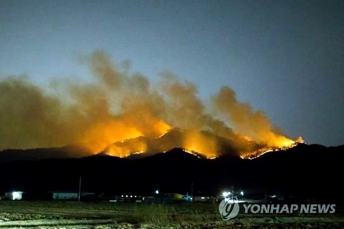 건조특보에 전국 곳곳에 불… 인명피해까지 이어져