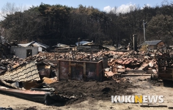 강원·속초 산불 원인은 '특고압선'…커지는 한국전력 '책임론'