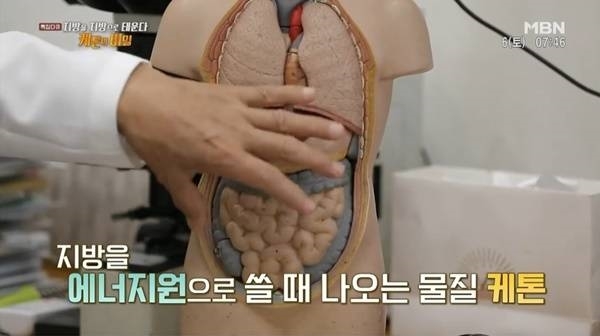 케톤 다이어트 무엇? 먹으면서 지방 태우는 식이 요법