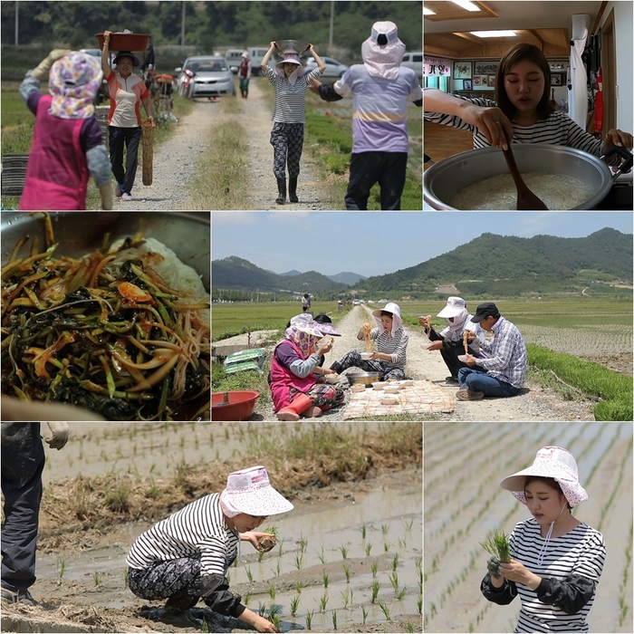 ‘아내의 맛’ 송가인, 몸빼바지부터 논두렁 팬사인회까지… ‘순박한 모습’