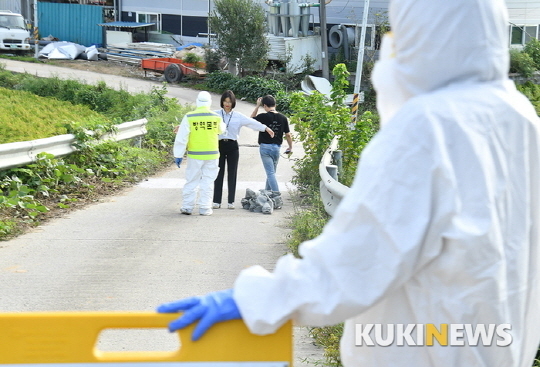 경북도, 연천 돼지농가 역학관계 양돈농가 6곳 역학조사