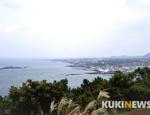 제주도에서 1년…서우봉 너머 서모봉 아래 북촌