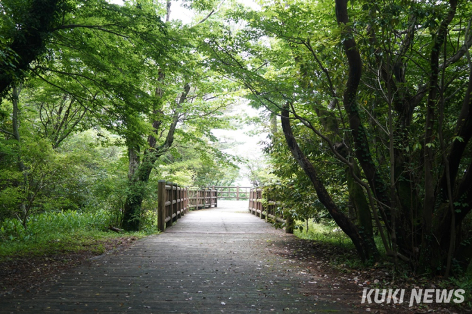 제주도에서 1년…한라산둘레길: 동백길