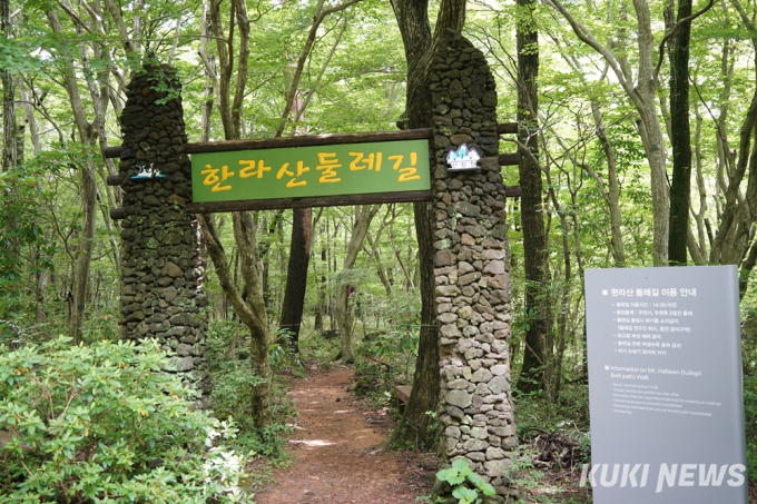 제주도에서 1년…한라산둘레길: 동백길