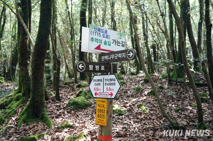 제주도에서 1년…한라산둘레길: 동백길