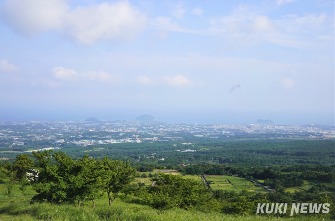 제주도에서 1년…한라산둘레길: 동백길