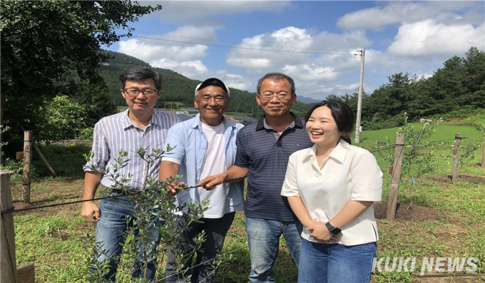 ‘친환경 올리브’ 전남서 재배 성공