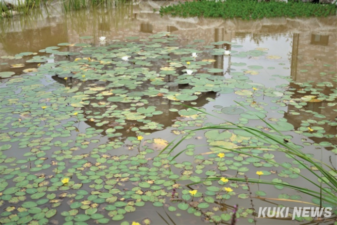 [고창에서 석 달 살기] 고창의 산과 들에서 만날 사람들