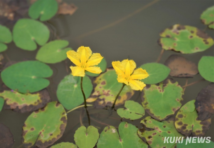 [고창에서 석 달 살기] 고창의 산과 들에서 만날 사람들