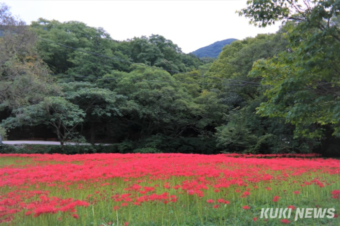 [고창에서 석 달 살기] 고창의 산과 들에서 만날 사람들