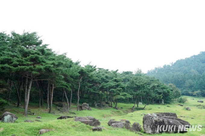 [고창에서 석 달 살기] 고창고인돌