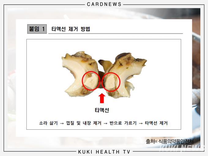 가을철 강해지는 ‘소라’ 독! 어떻게 예방할까?