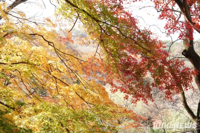 [고창에서 석 달 살기] 고창의 숨은 명소 문수사 단풍숲에서 듣는 구한말 의병장 박포대 이야기