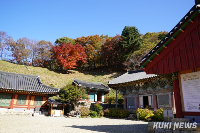 [고창에서 석 달 살기] 고창의 숨은 명소 문수사 단풍숲에서 듣는 구한말 의병장 박포대 이야기