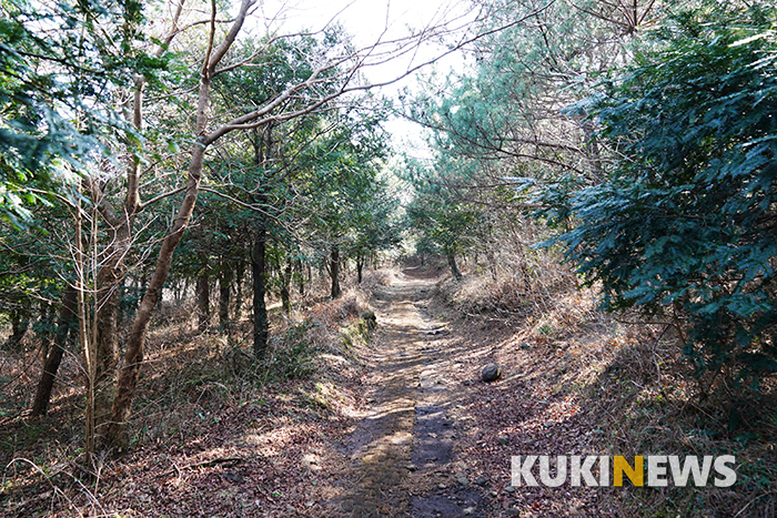 제주도에서 1년…물영아리오름