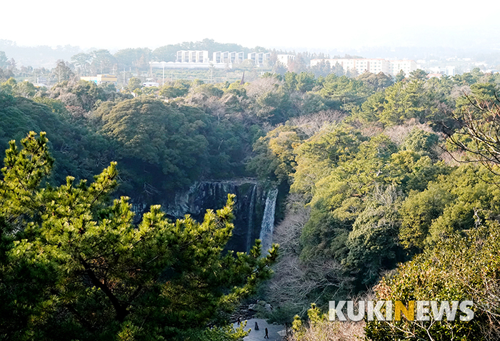 제주도에서 1년…천지연폭포 주변 거닐기