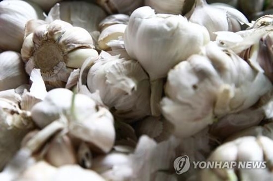 ‘코로나19 확산’ 러시아서 면역력 강화로 마늘 인기