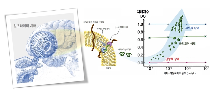 치매 원인 단백질 측정해 치매 진단한다