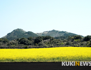 제주도에서 1년…오름의 만물상 동검은이오름