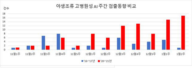 구미‧창원 등 야생조류 고병원성 조류인플루엔자 20건 발생