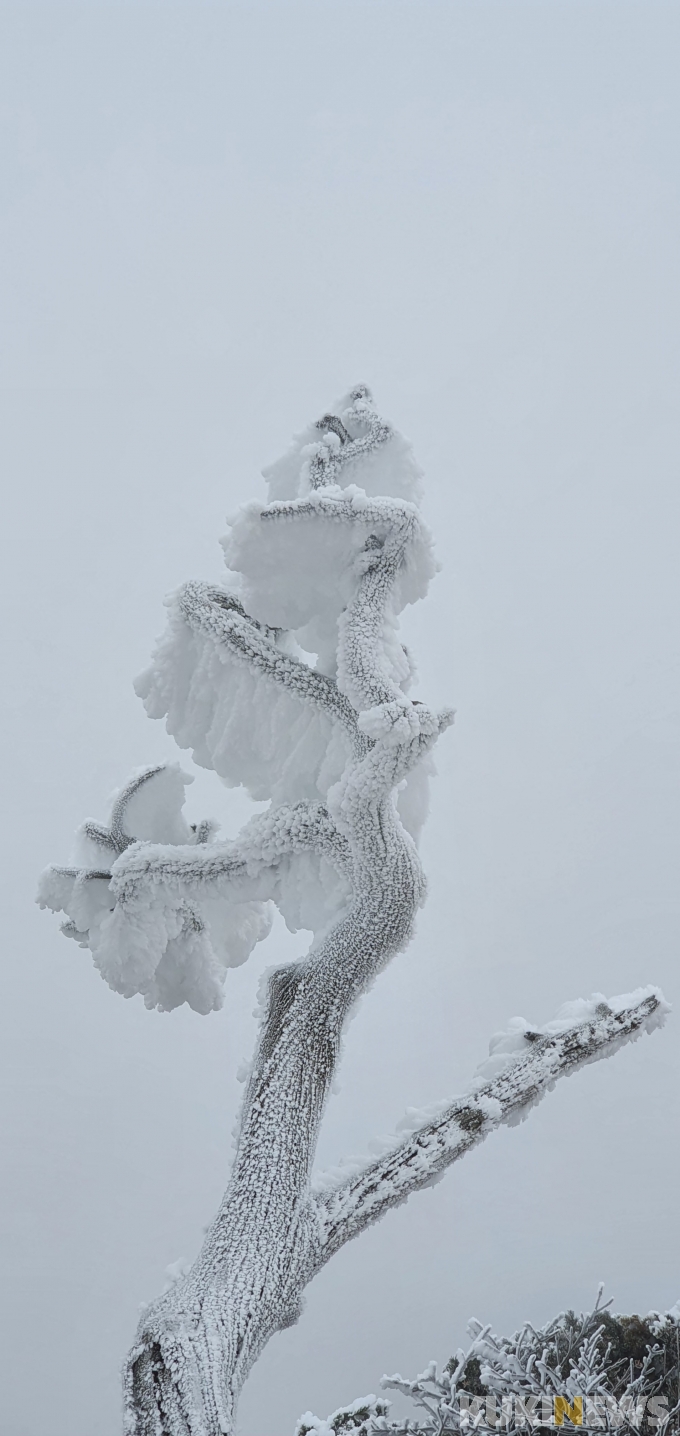 겨울이 만든 아름다운 눈조각
