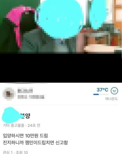 당근마켓에 “선생님 분양 10만 원”…원격수업 교사 사진- 이름 유포