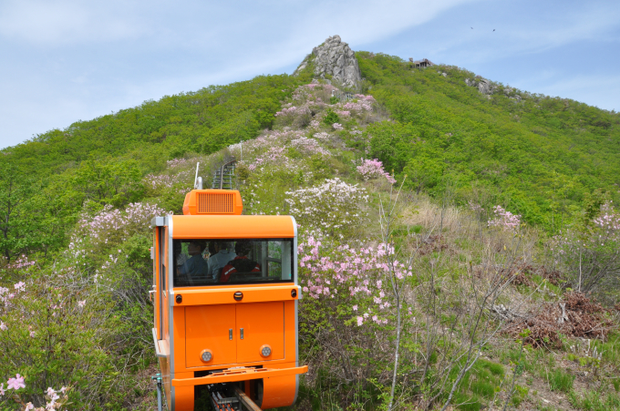 2021함양항노화산삼엑스포...D-150일 카운트다운