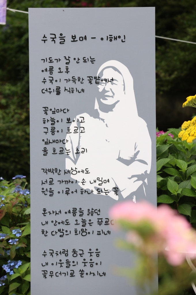 [포토뉴스] '이해인 수녀님 시비'와 만개한 수국