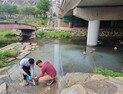 하남시, 하절기 환경오염행위 특별감시