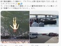 日바다에 떠오른 시신…알고보니 버린 리얼돌
