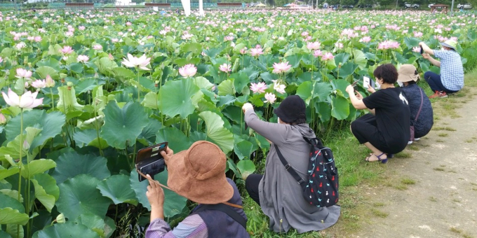 [함안소식] 농축수산물 해외서 인기