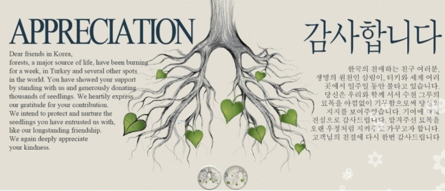 김연경 팬 묘목 선물에… 터키단체 한글로 “감사합니다” 화답
