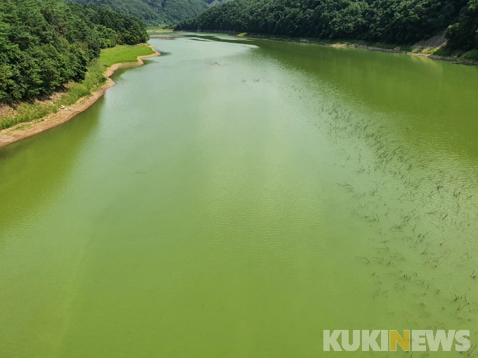 횡성댐 상류 대규모 녹조 발생…당국 확산 방지에 안간힘